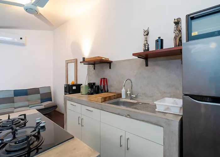The Ganesh - Private 1br With Plunge Pool In Apartment